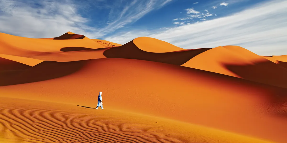 Dubai's Arabian Desert