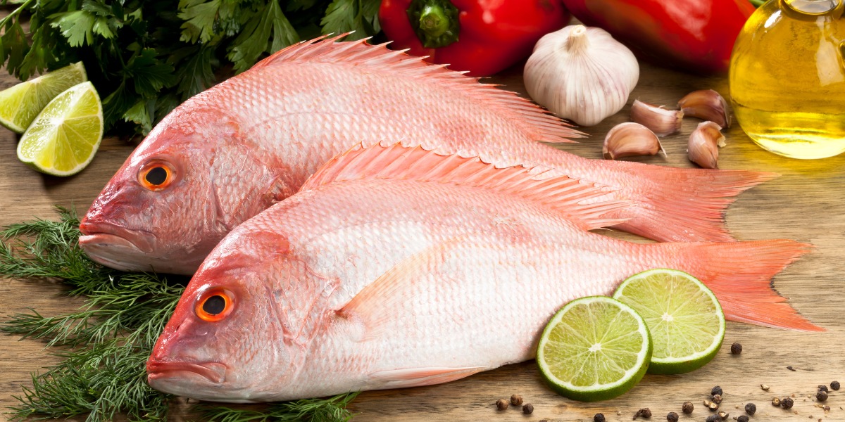Red Hamour Fish
