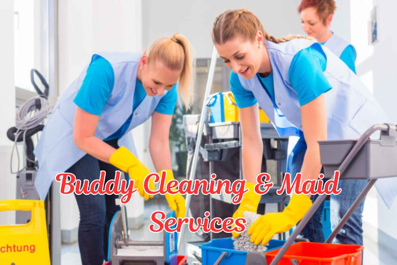 Buddy Cleaning & Maid Services