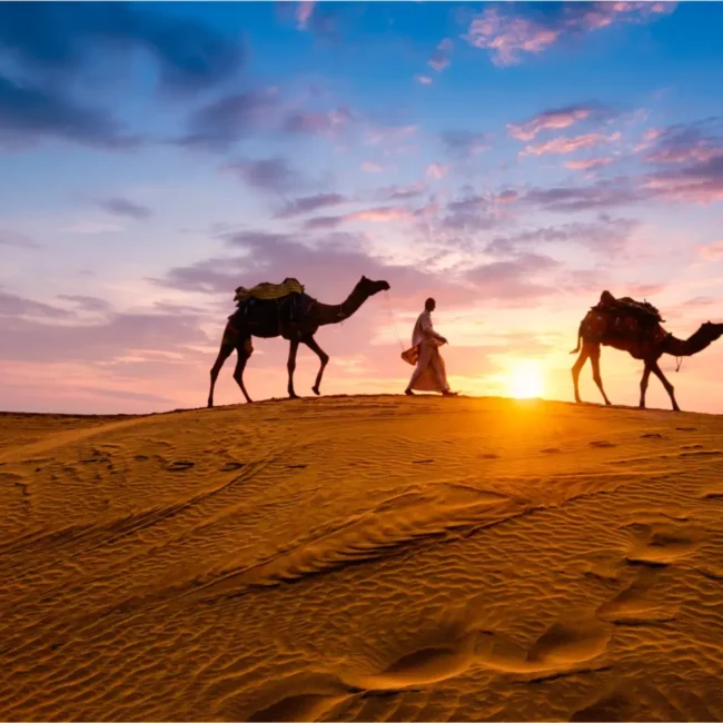 Luxurious Desert Safari Experience in Dubai