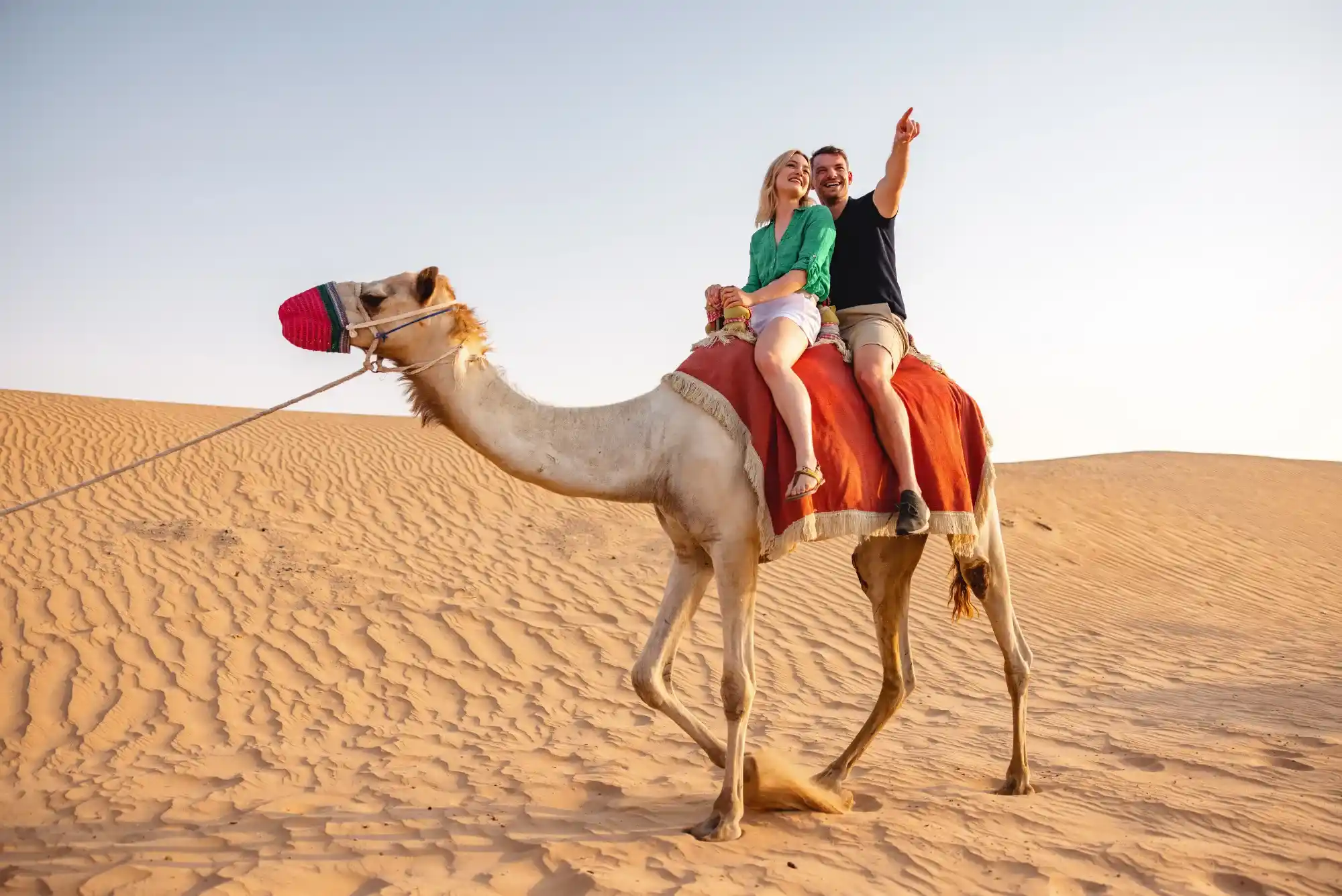 The Ultimate Guide to Camel Riding in Dubai: What to Expect & Tips for First-Timers