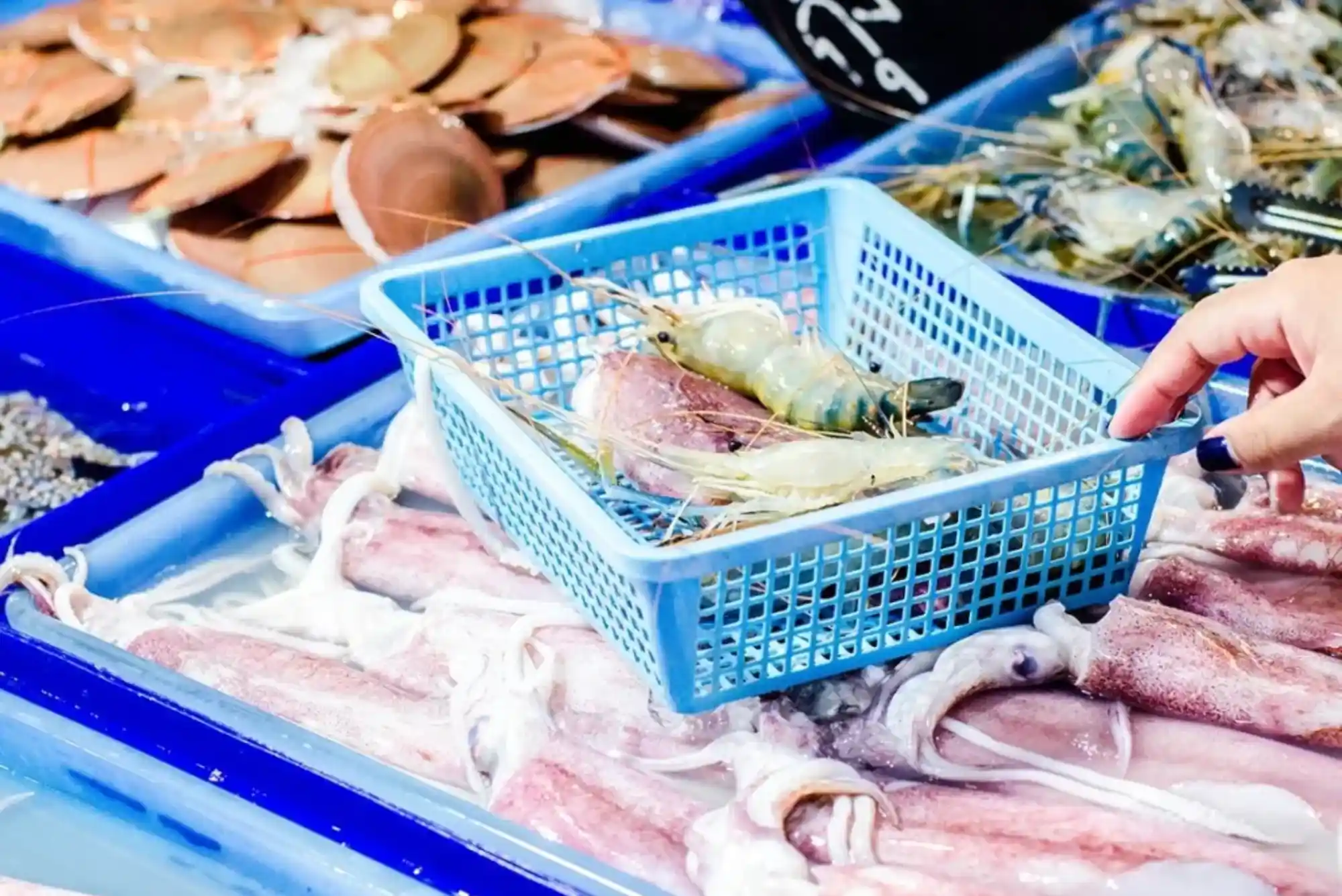 Top Rated and Ultimate Guide for United Fish Dubai