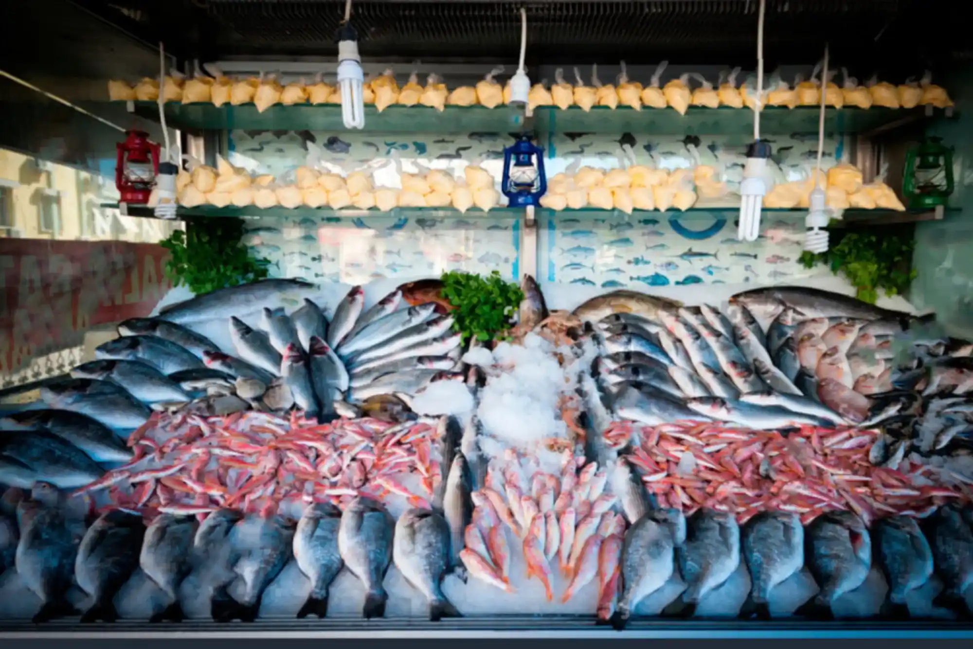 10 Insider Tips for Shopping at the Ajman Fish Market